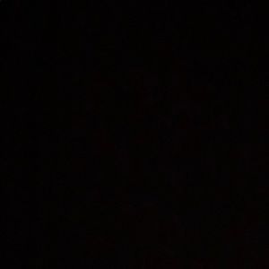 Meet your Posher, Sophia